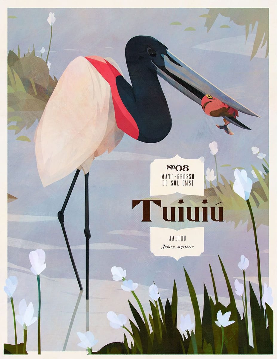 Artwork Title: Jabiru / Tuiuiú