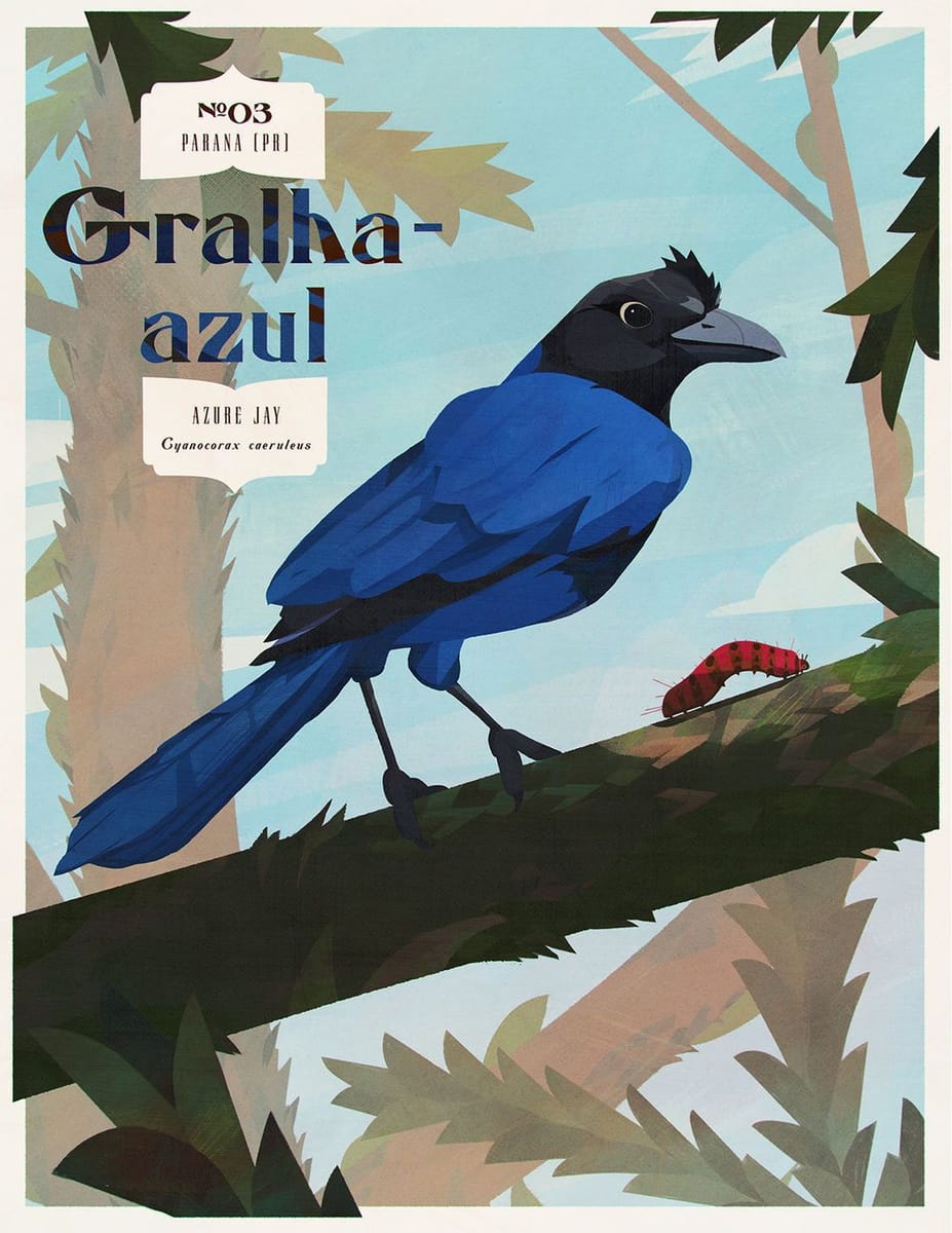 Artwork Title: Azure Jay / Gralha Azul