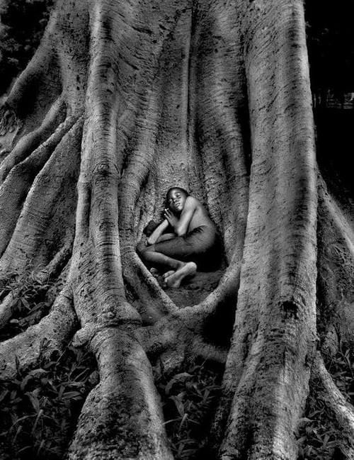 Artwork Title: undefined
