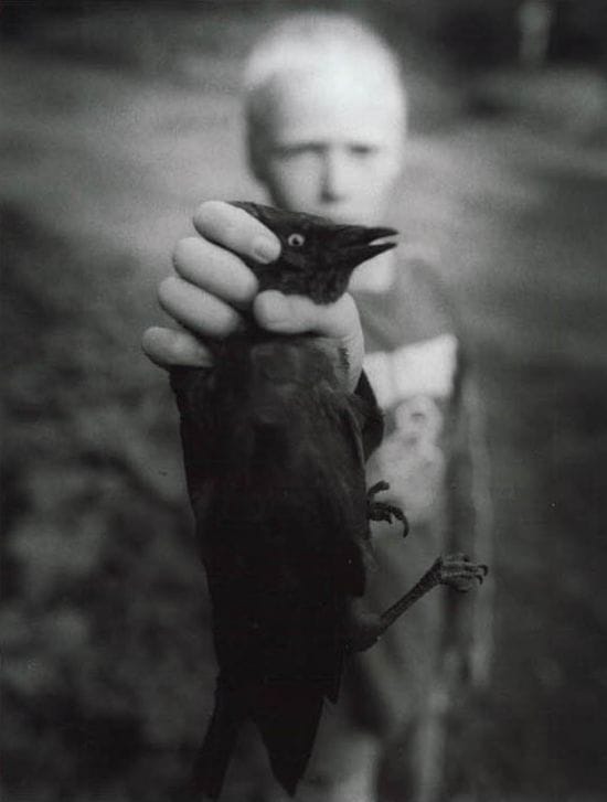 Artwork Title: Bird