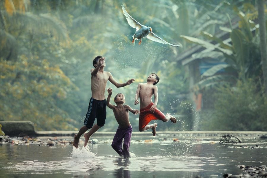 Artwork Title: Let's Fly With Me