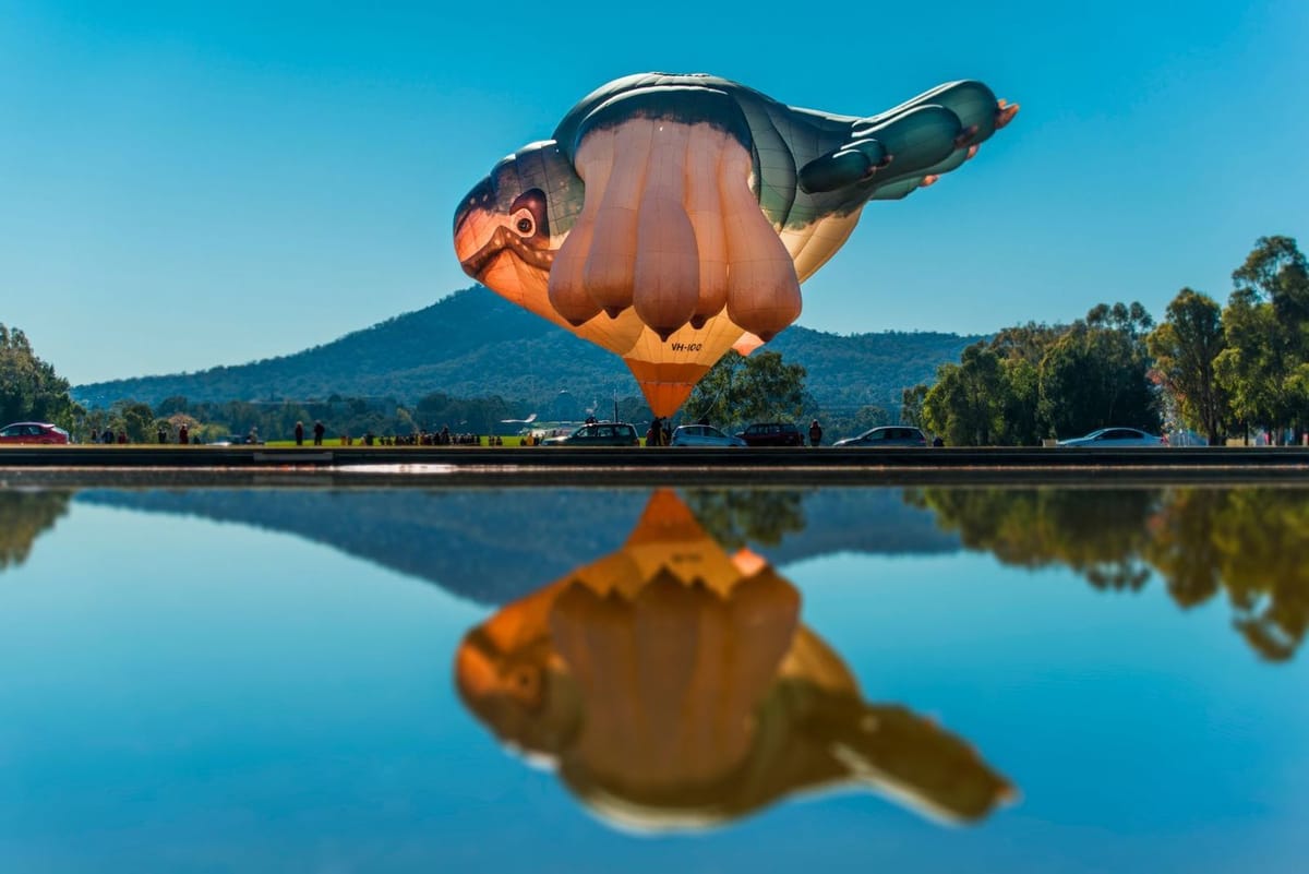 Artwork Title: Skywhale