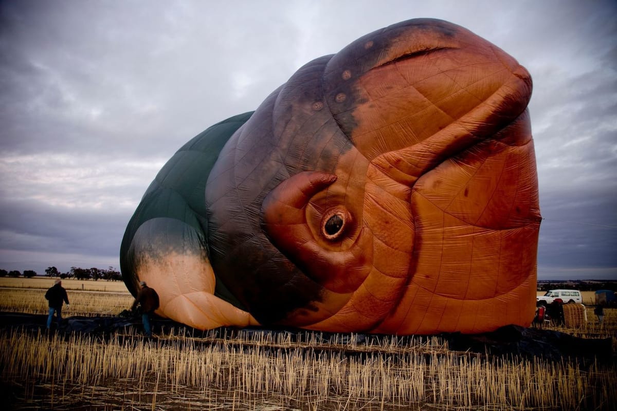 Artwork Title: Skywhale