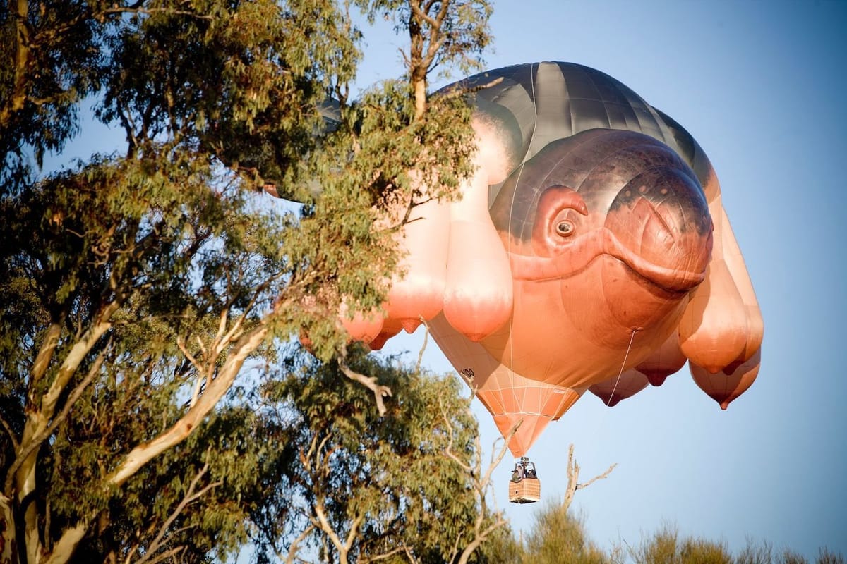 Artwork Title: Skywhale