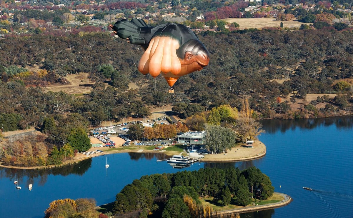 Artwork Title: Skywhale
