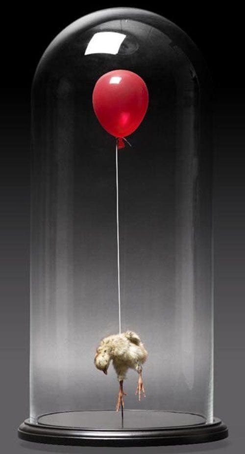 Artwork Title: Still Birth