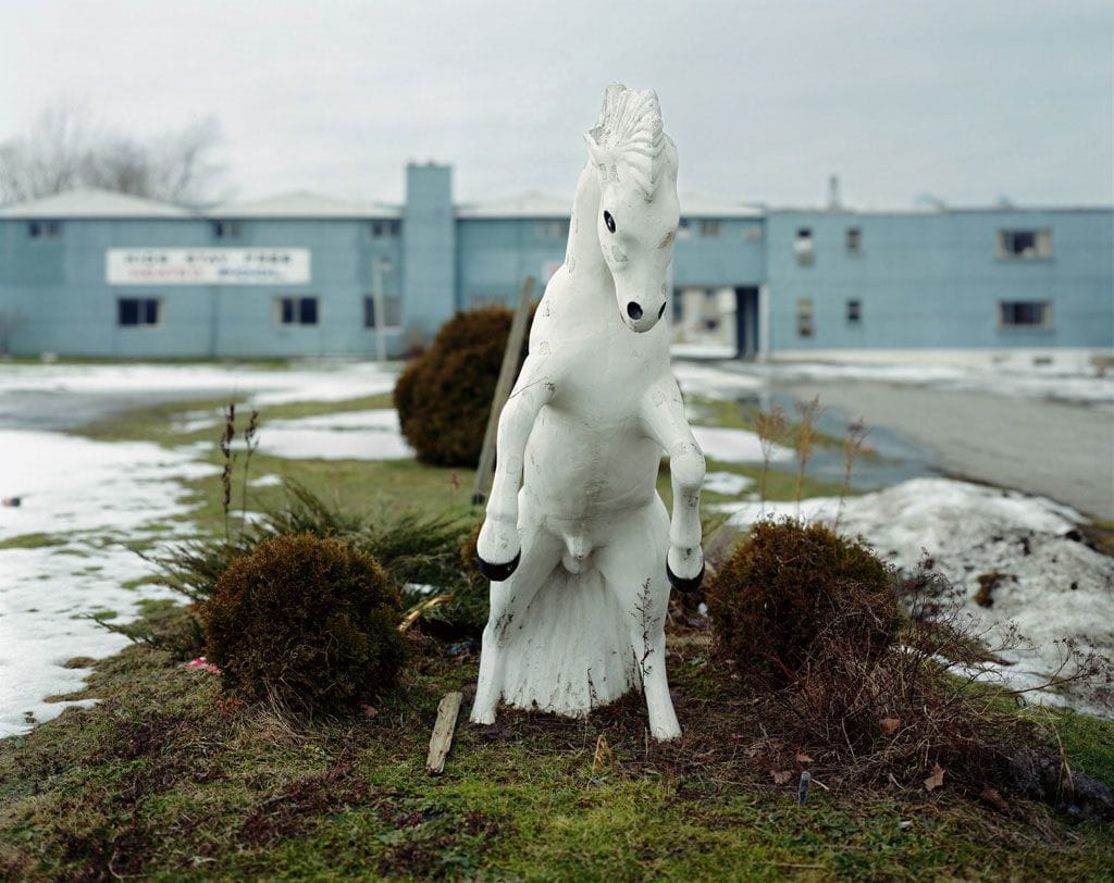 Artwork Title: Niagara - Impala