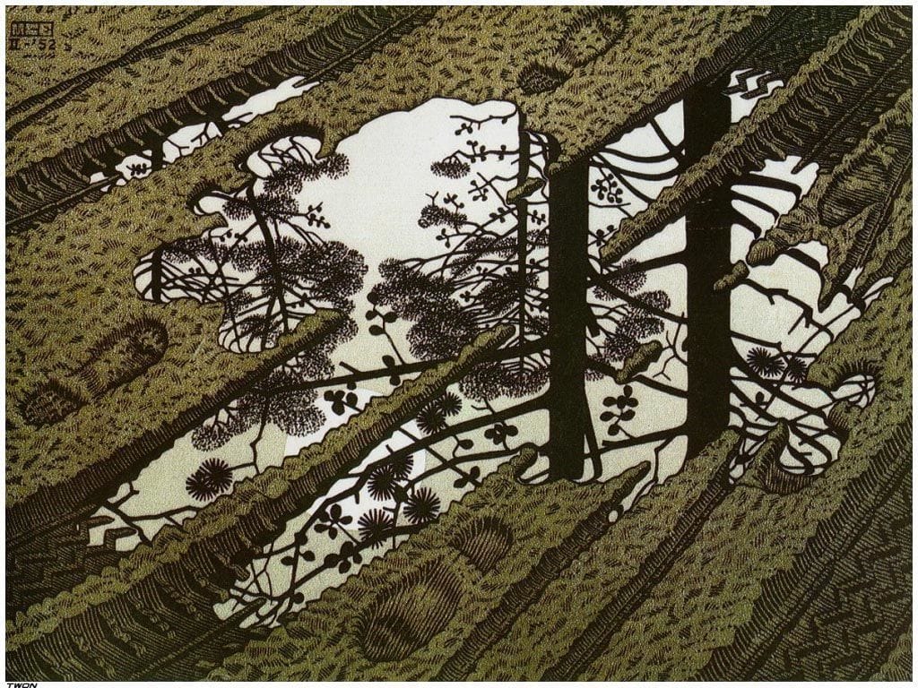 Artwork Title: Puddle