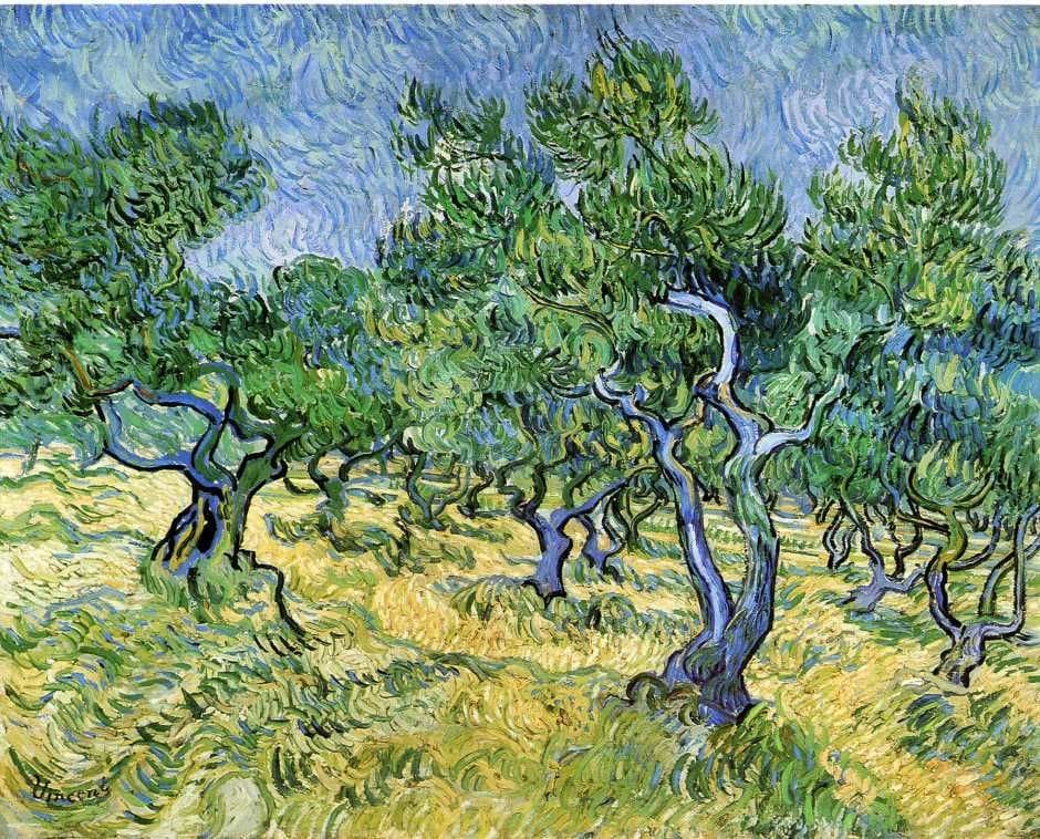 Artwork Title: Olive Grove
