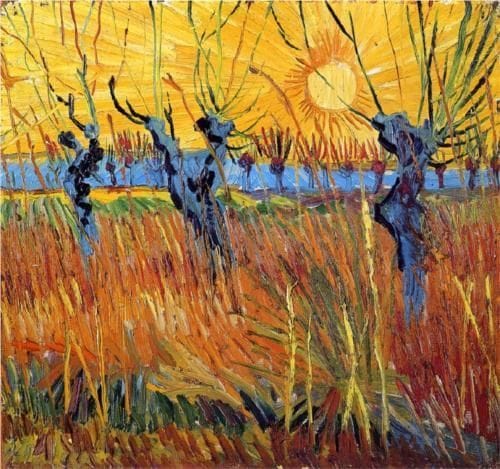 Artwork Title: Pollard Willows In Setting Sun