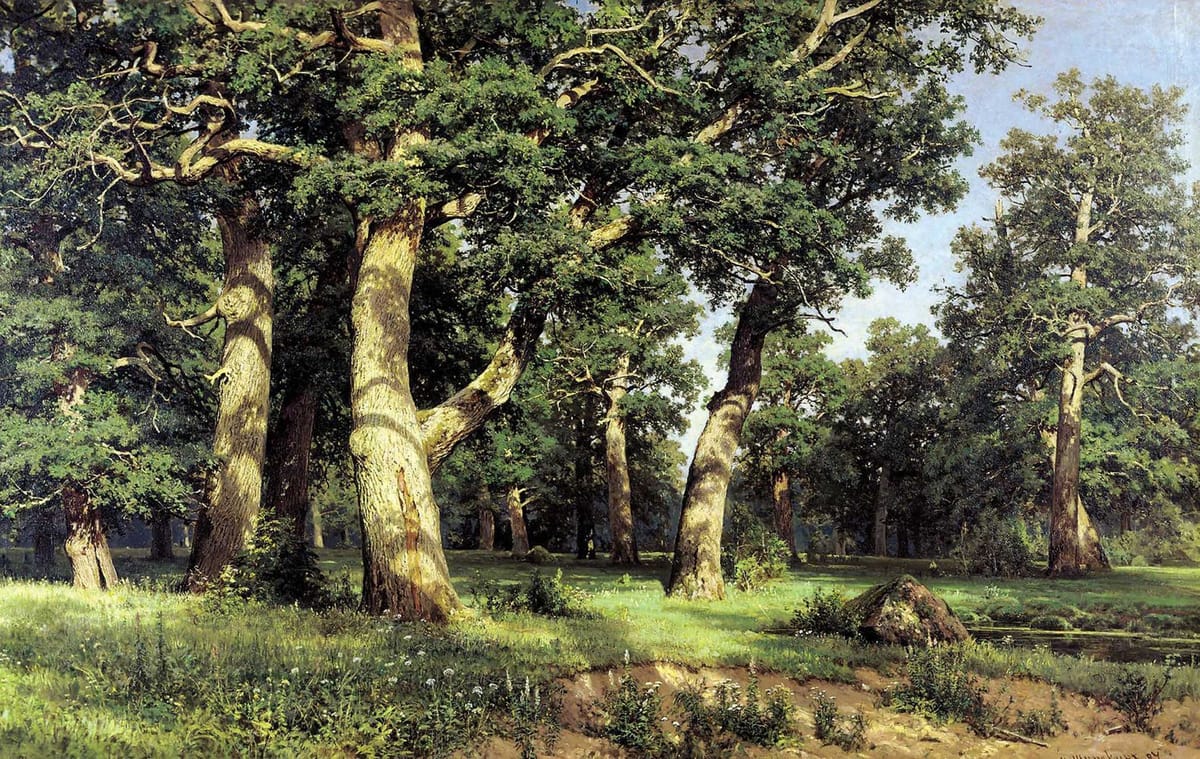 Artwork Title: Oak Grove