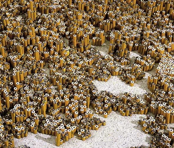 Artwork Title: Colony