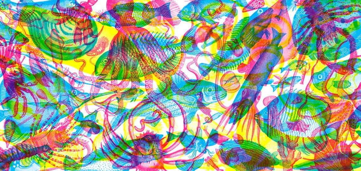 Artwork Title: Animalia N.2