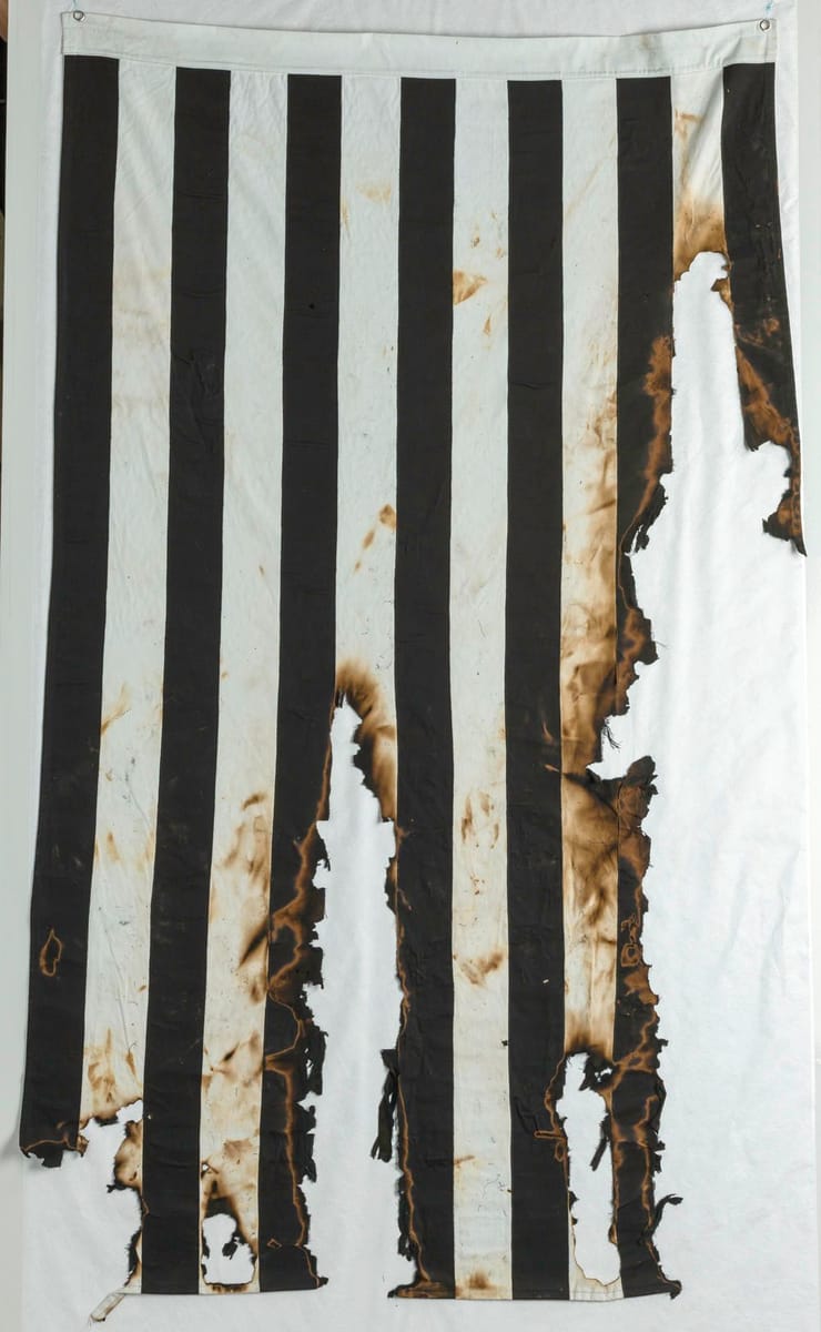 Artwork Title: Burned Flag (Sons of Liberty)