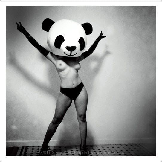 Artwork Title: Panda Sexpress