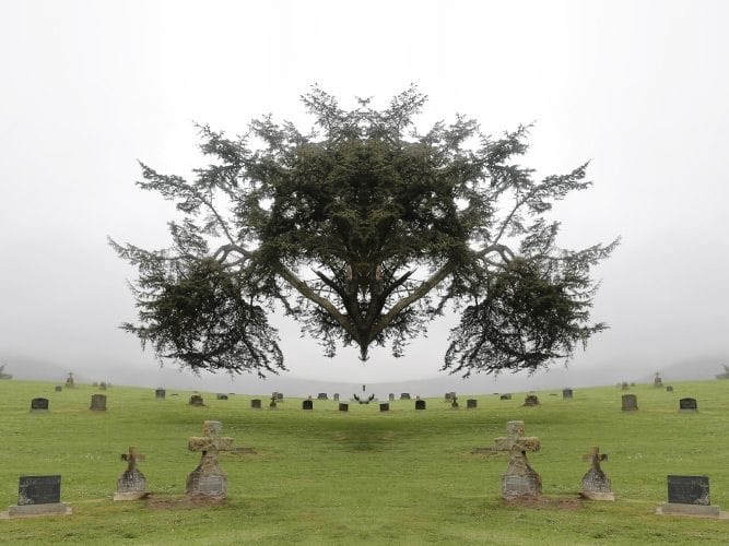 Artwork Title: undefined