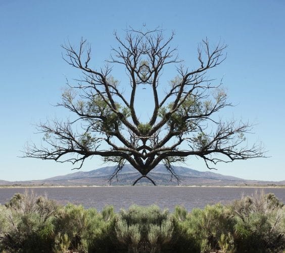 Artwork Title: undefined