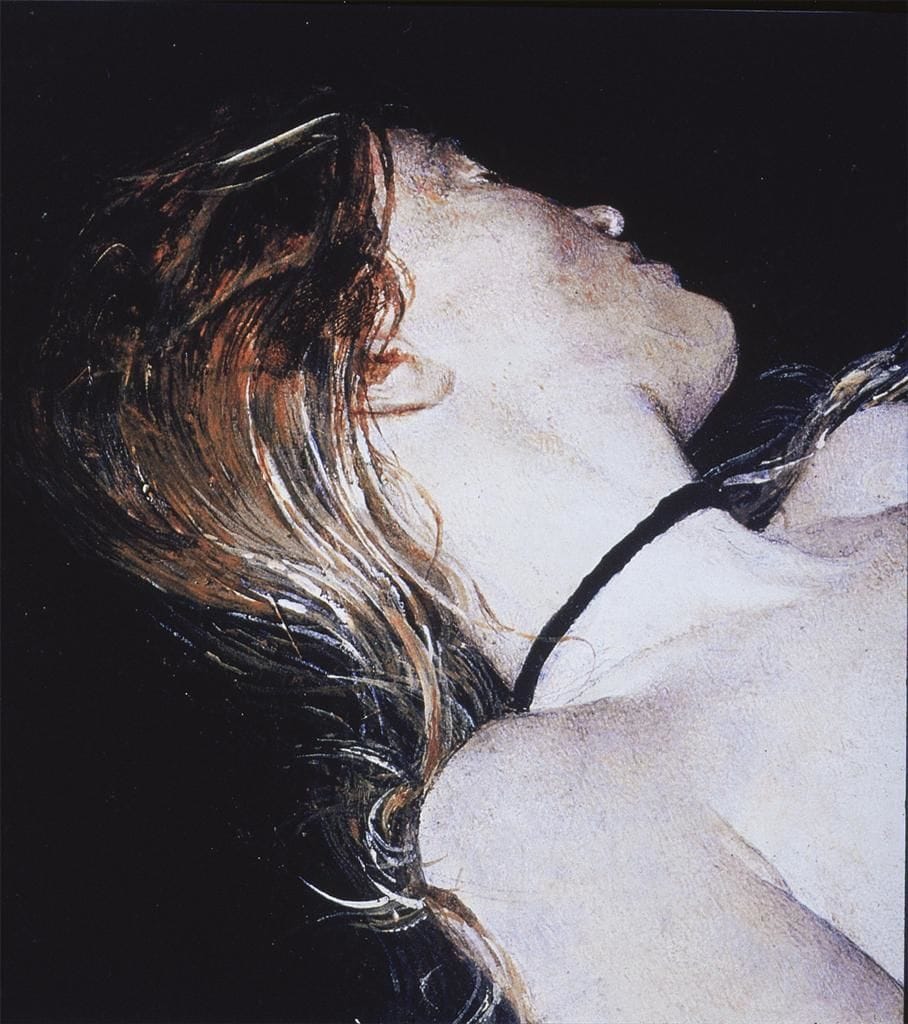 Artwork Title: Black Velvet