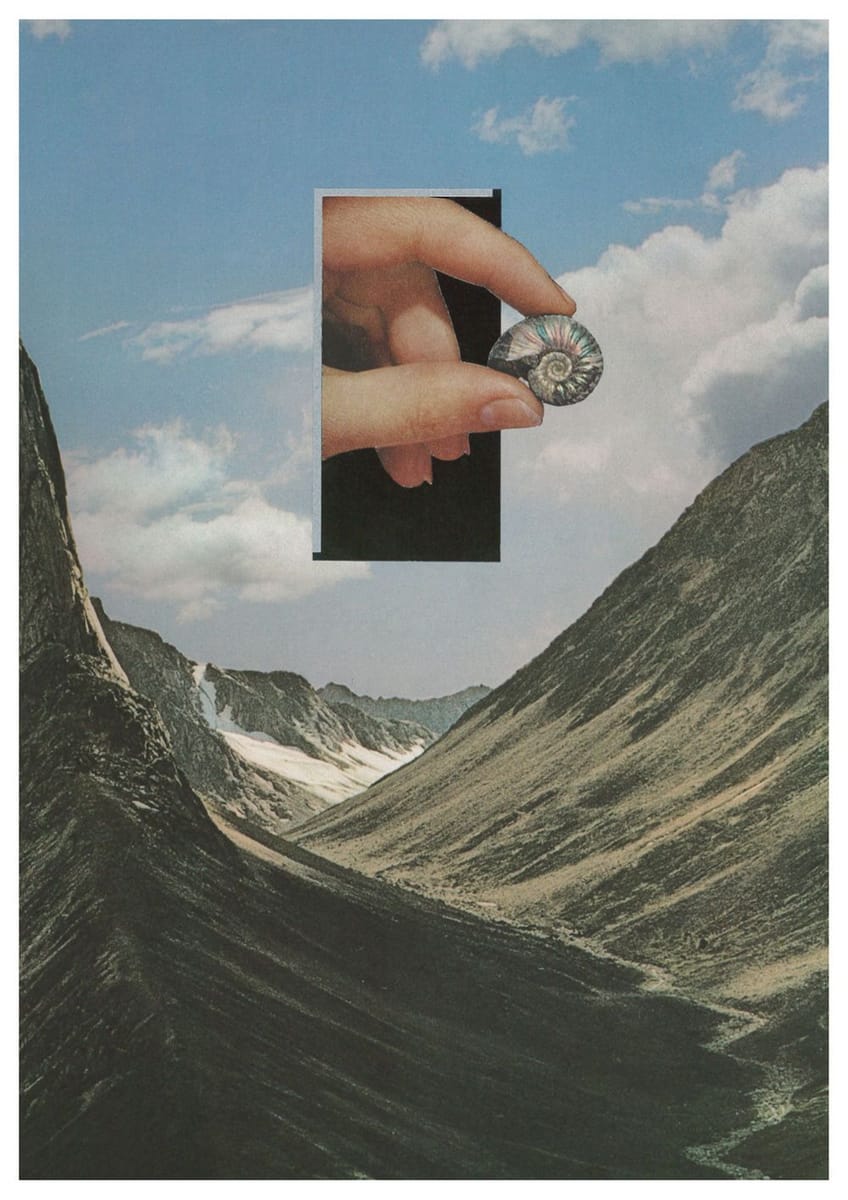 Artwork Title: Into The Next