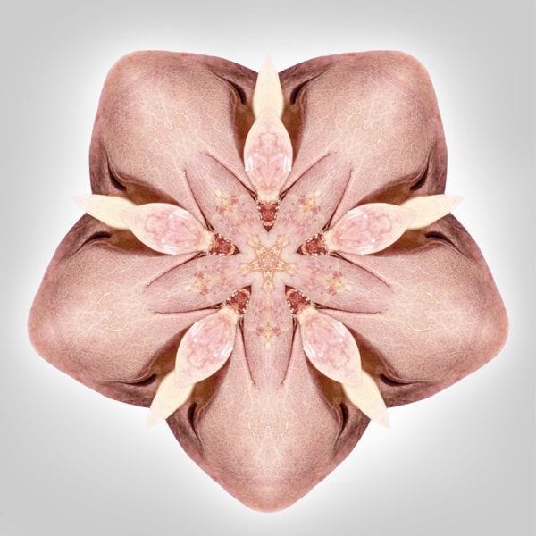 Artwork Title: Bodyscopes