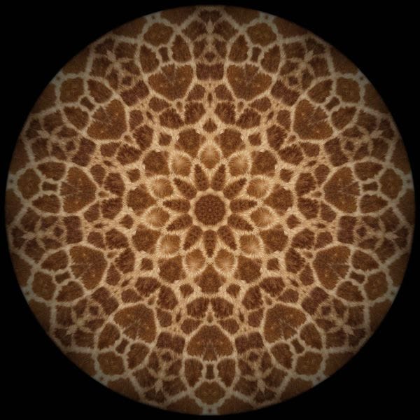 Artwork Title: Animandali #7