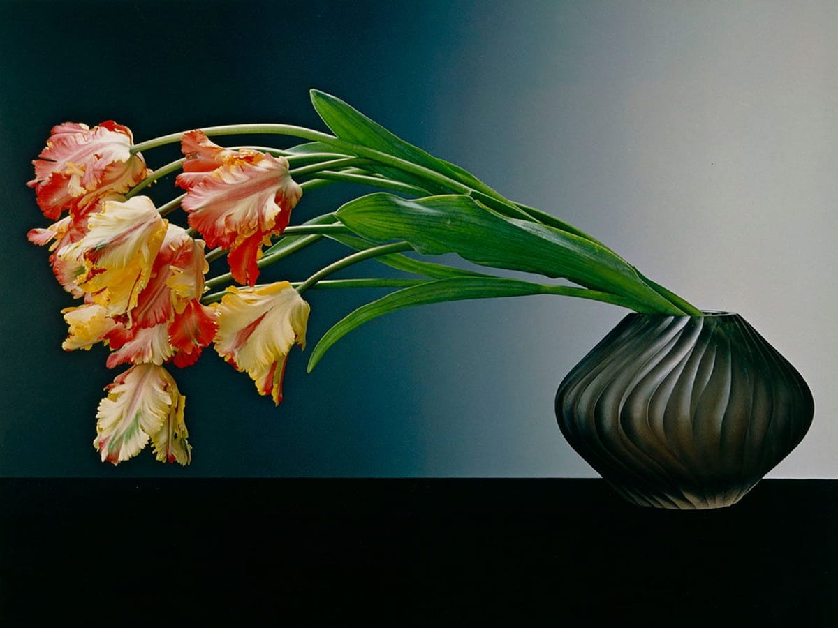 Artwork Title: Parrot Tulips