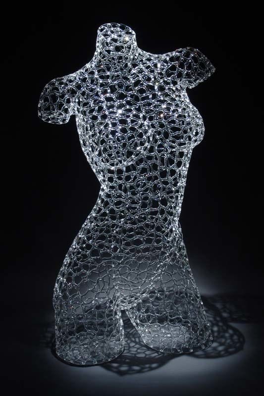 Artwork Title: Network Venus