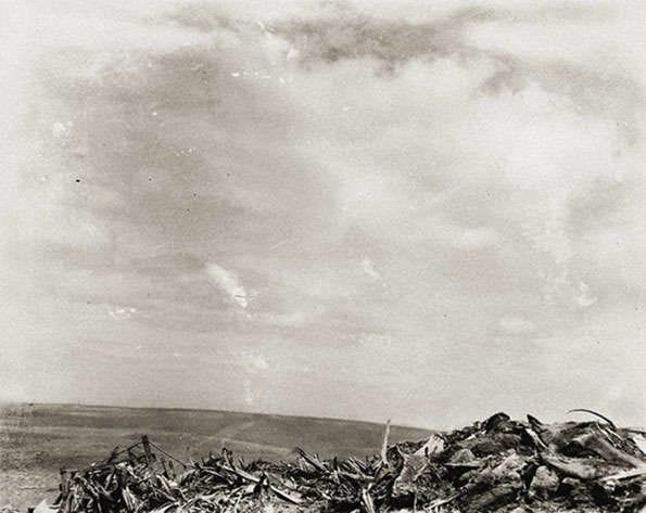 Artwork Title: 1945, Iwo Jima