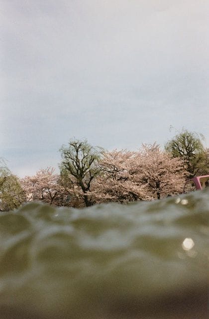 Artwork Title: Ueno, From The Series: 