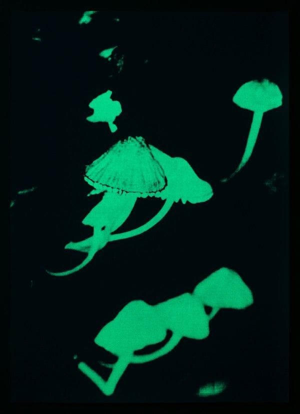 Artwork Title: undefined