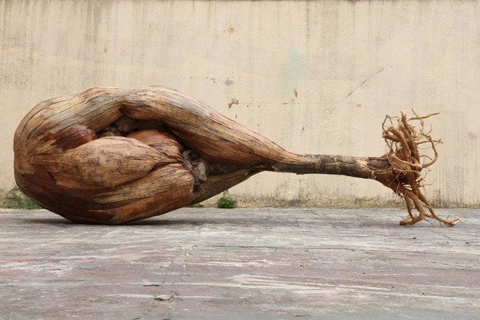 Artwork Title: Pau-coxa