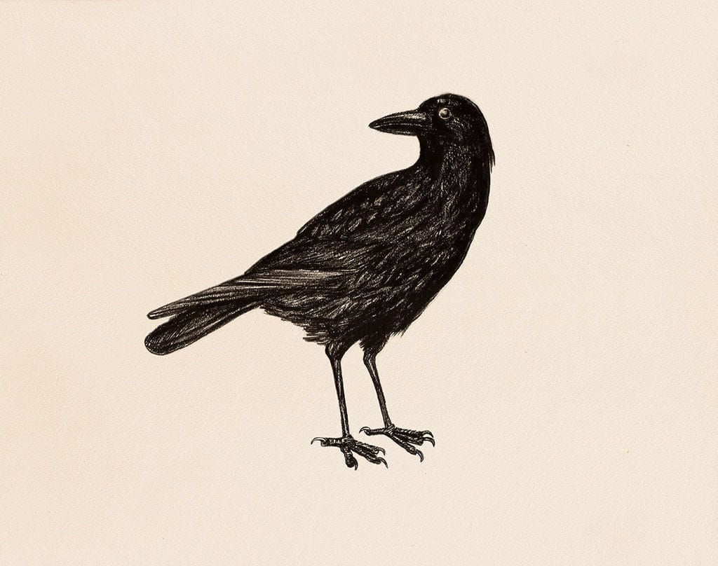 Artwork Title: Birds#48