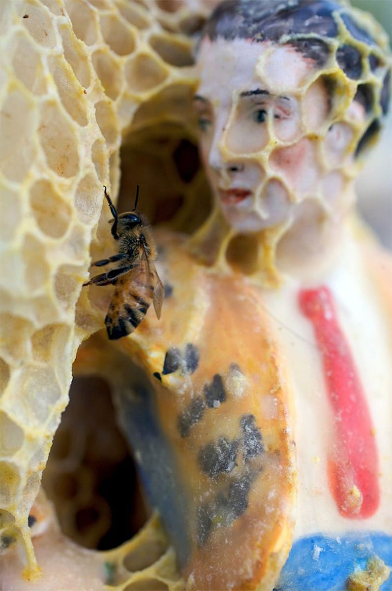 Artwork Title: Sculptures Wrapped In Honeycomb