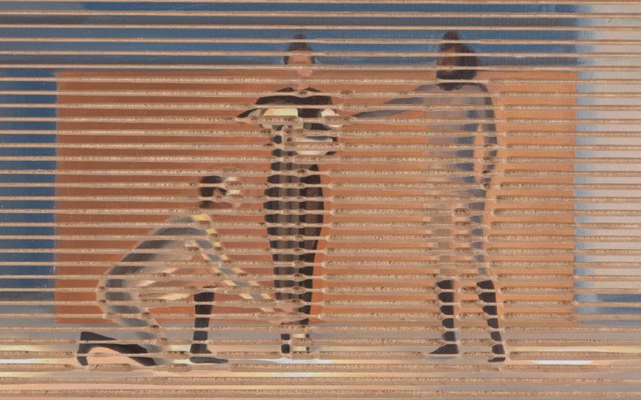 Artwork Title: SYSTEMA OCCAM n°1