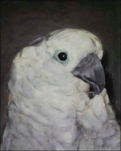 Artwork Title: Cold Blooded Old Times