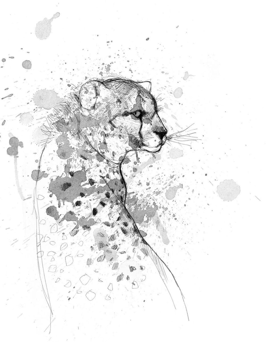 Artwork Title: undefined