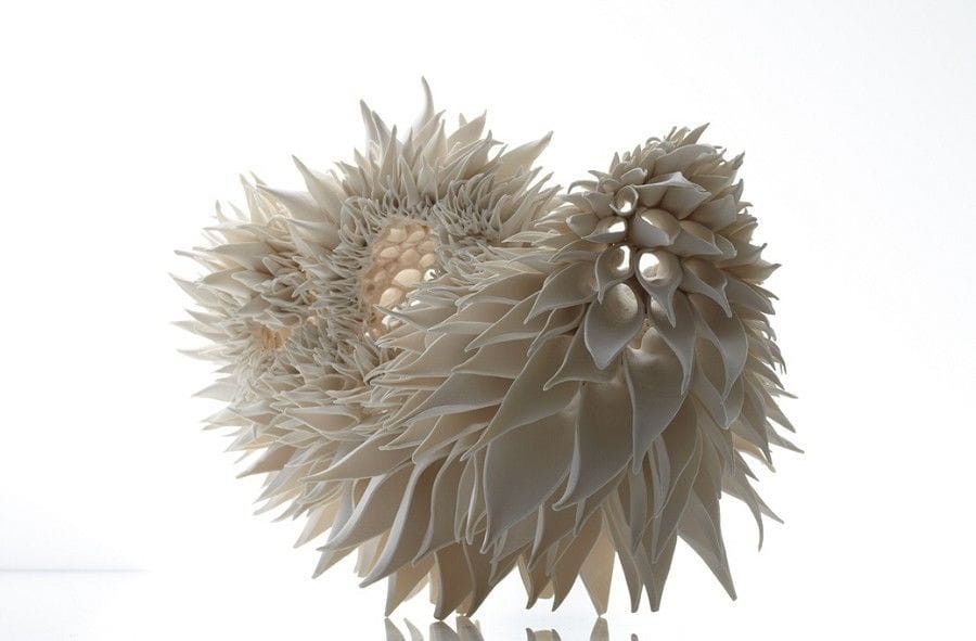 Artwork Title: Teasel Standing