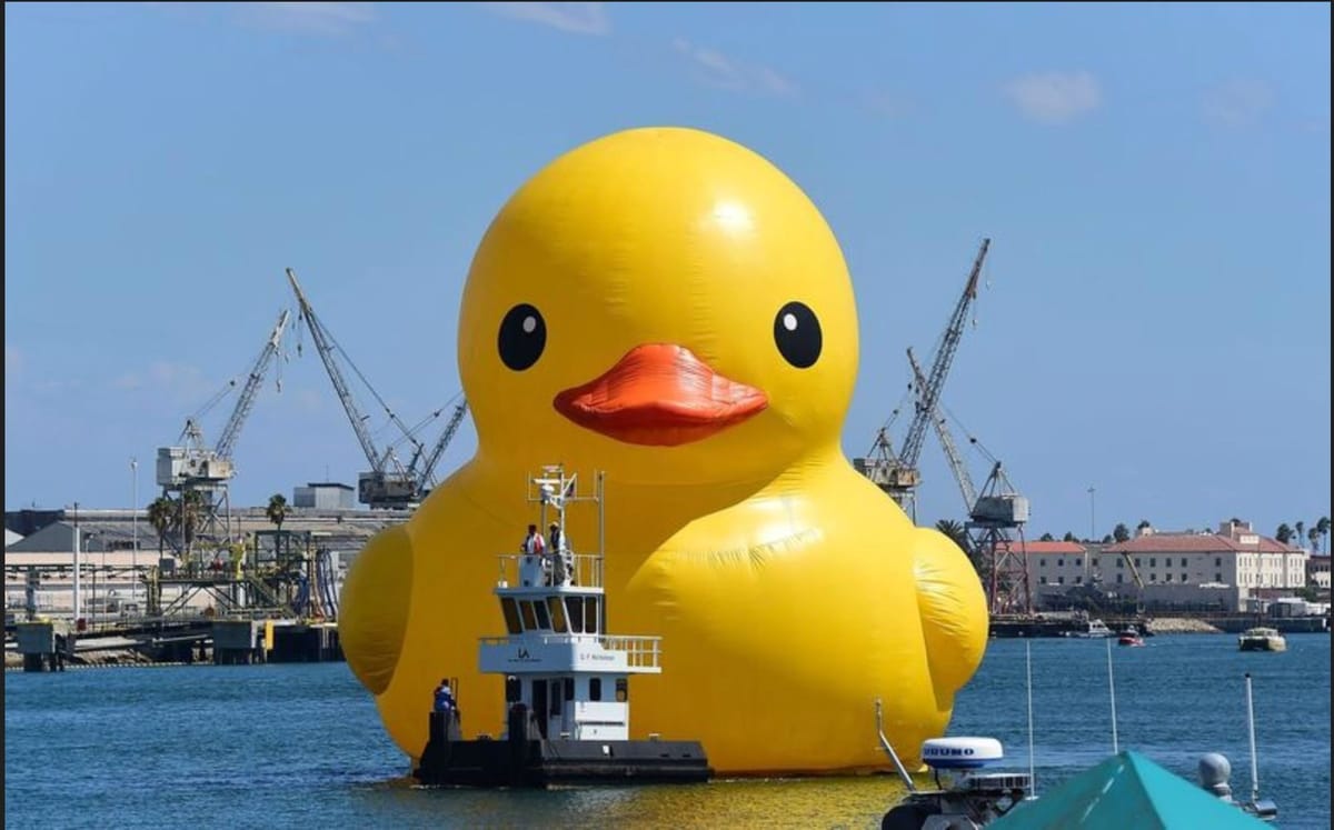Artwork Title: Rubber Duck
