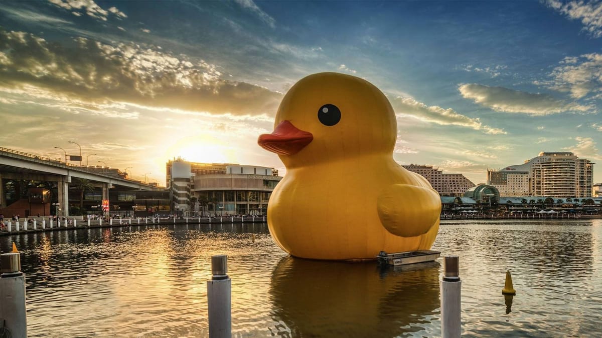 Artwork Title: Rubber Duck