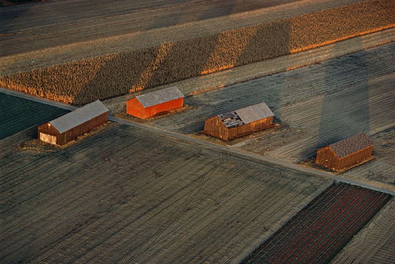 Artwork Title: Hadley Tabacco Barns