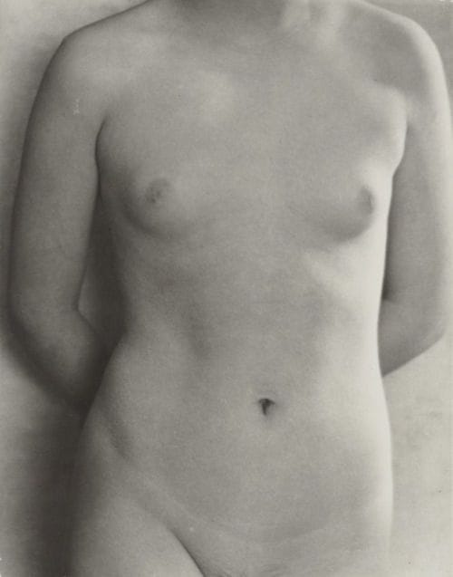 Artwork Title: Torso