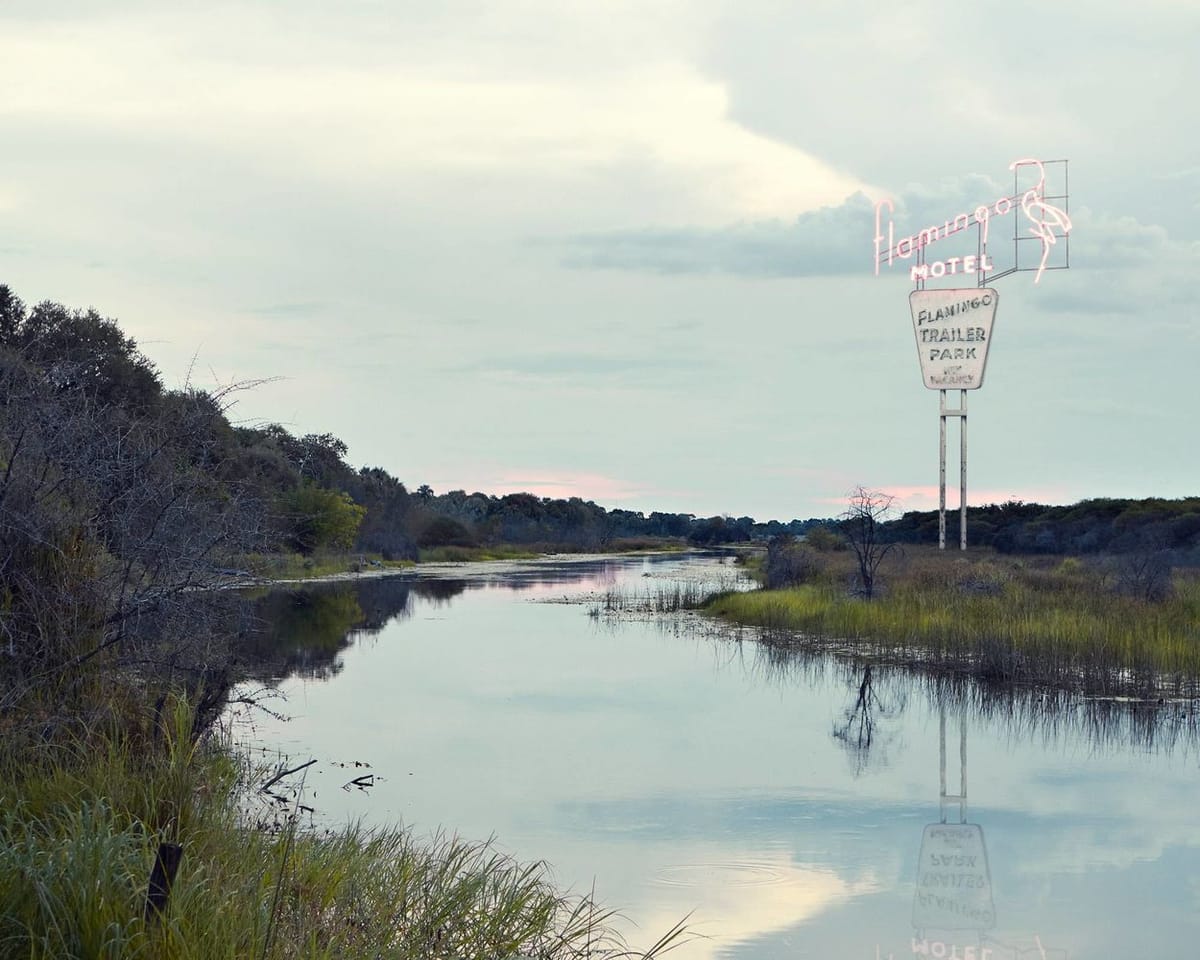 Artwork Title: Gigantic Signs