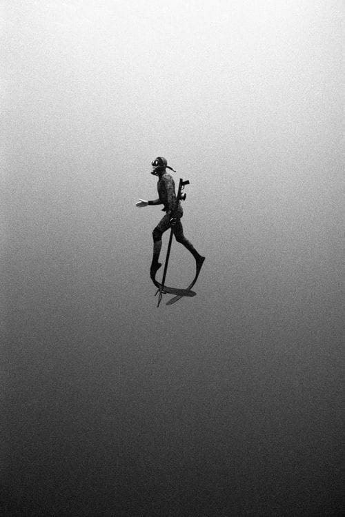 Artwork Title: Free Dive