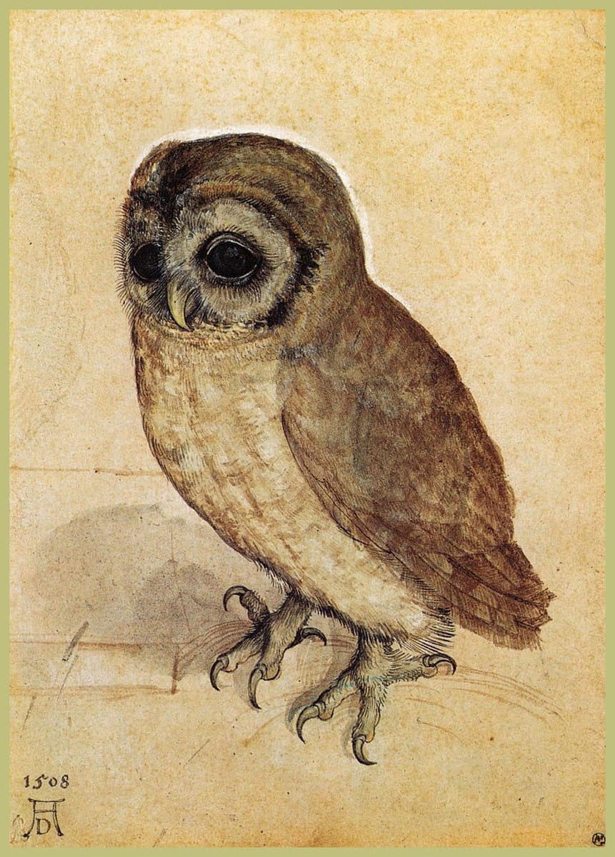Artwork Title: Owl