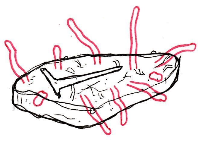 Artwork Title: Worm Steak
