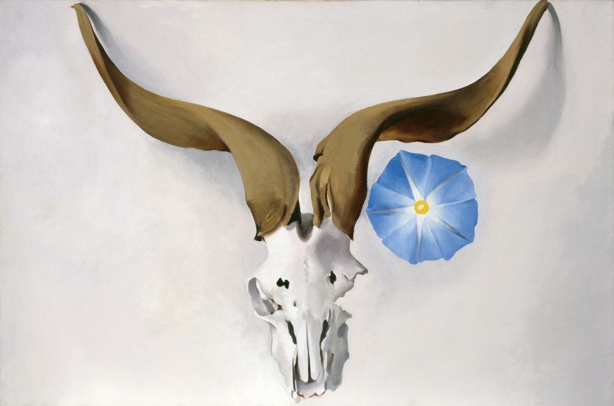 Artwork Title: Ram's Head, Blue Morning Glory