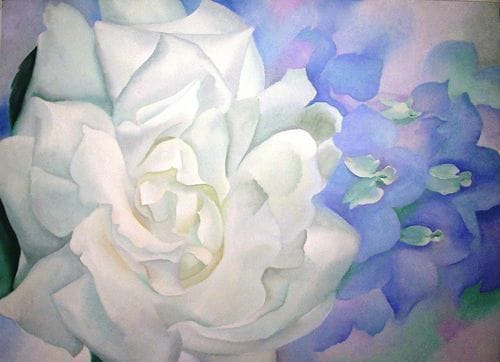 Artwork Title: White Rose with Larkspur No. 2