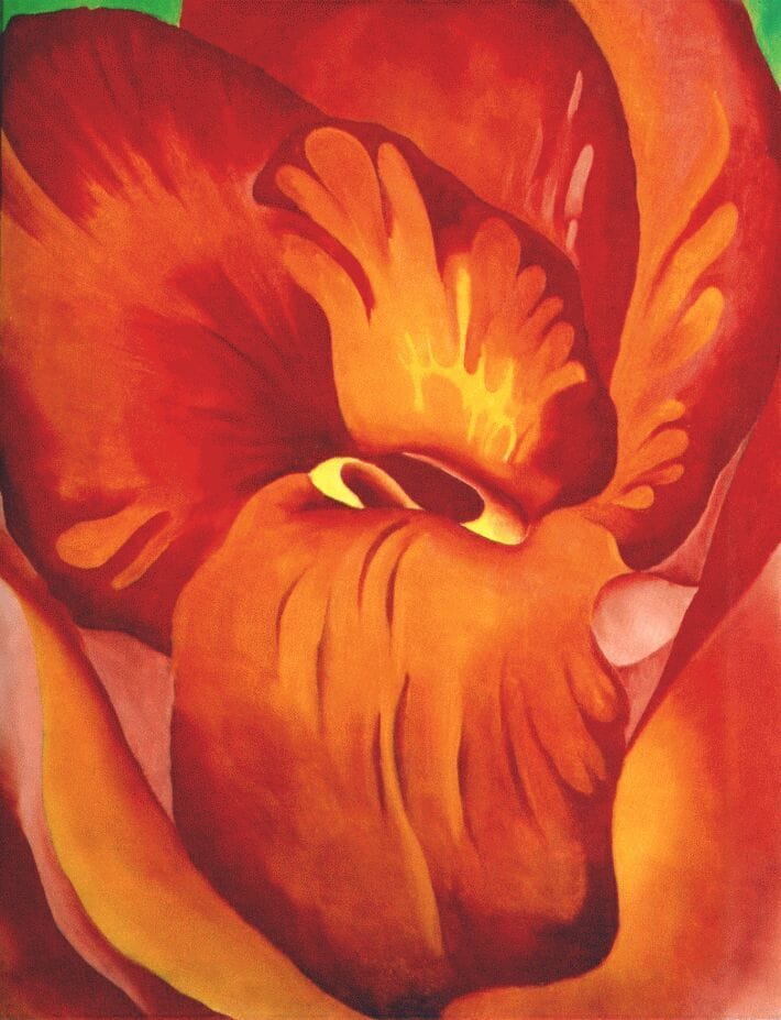 Artwork Title: Canna Red and Orange