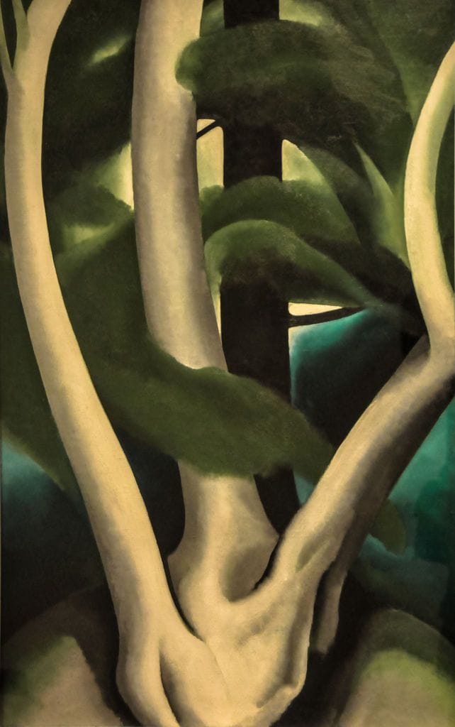 Artwork Title: Birch and Pine Tree No. 1