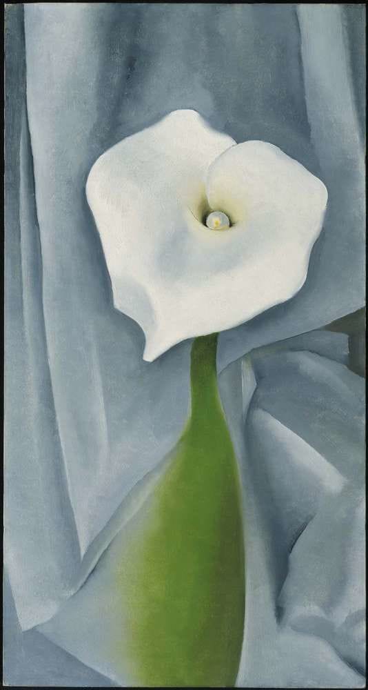 Artwork Title: Calla Lily on Gray